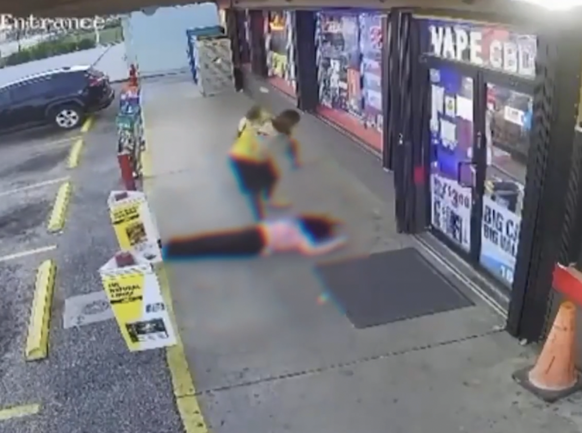 Importación de Animales Salvajes